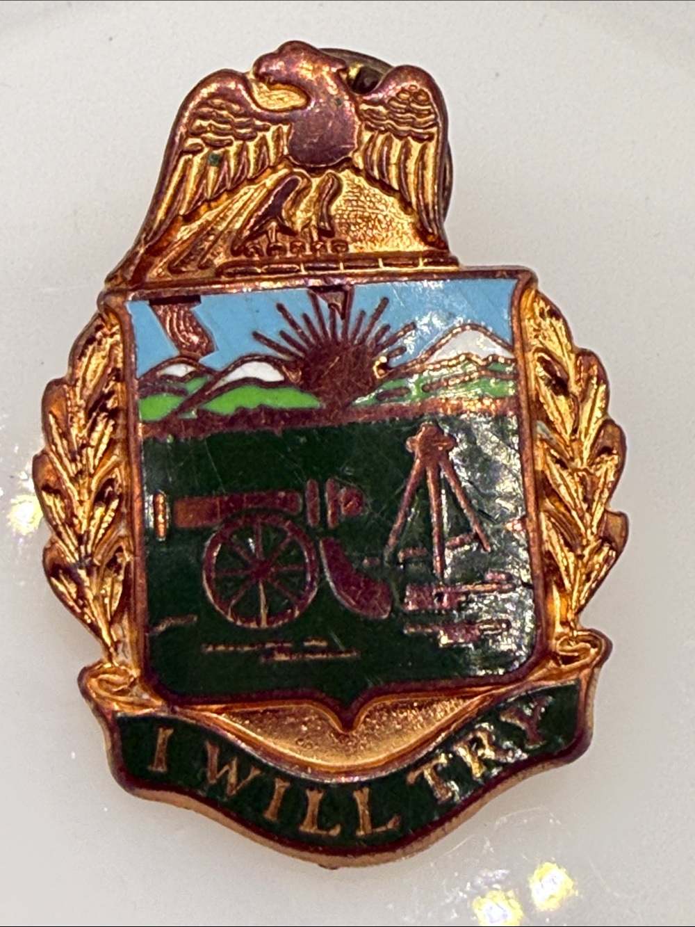 Vintage Enamel Military style Crest Pin eagle Green and Blue Shield enamel